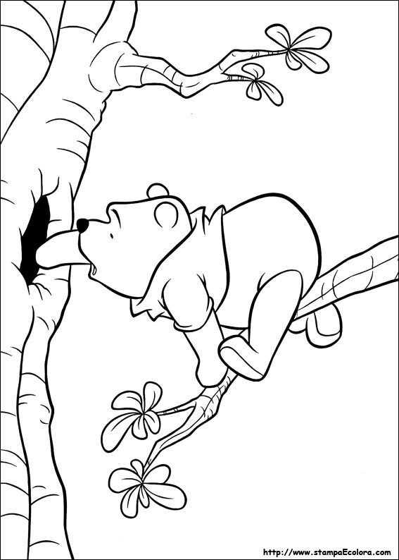 Disegni Winnie the Pooh